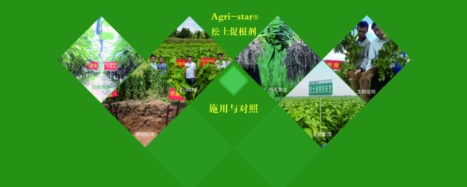 電腦幻燈片6